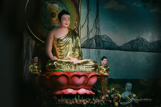 "Từ lâu vốn biết Phật. Đã được Bát-niết-bàn. Mọi sợ hãi không còn. Dứt ân ái thế gian" - Ảnh: Phùng Anh Quốc