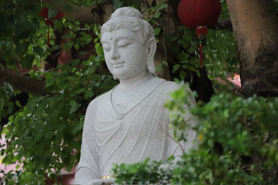 Ảnh: Trung Thắng