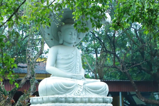 Ảnh: Trung Thắng