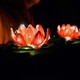 Ảnh: Bảo Toàn/BGN