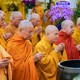 Chư tôn giáo phẩm Hội đồng Chứng minh, Hội đồng Trị sự GHPGVN dâng hương tưởng niệm Trưởng lão Hòa thượng Thích Từ Thông tân viên tịch - Ảnh: Tâm Quý/BGN