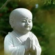 Sự trường tồn của Phật pháp
