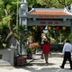 Ngôi chùa trên đảo Sinh Tồn