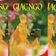 Báo Giác Ngộ số đặc biệt Kính mừng Phật đản - quà tặng tinh thần trang nhã và ý nghĩa của người Phật tử