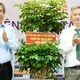 Ủy viên Trung ương Đảng, Phó Bí thư Thành ủy, Chủ tịch Ủy ban Mặt trận Tổ quốc Việt Nam TP.HCM Nguyễn Phước Lộc tặng cây xanh chúc mừng Bệnh viện Tâm thần TP.HCM khánh thành cơ sở 3 - Ảnh: Kỳ Phong