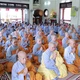 Trang nghiêm khóa lễ tụng kinh Vu lan tại chánh điện Ni viện Vạn Hạnh - Ảnh: Trung Thắng 