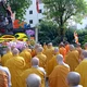 Chư tôn đức Ban Thường trực Ban Trị sự Phật giáo TP.HCM dâng hương, đặt vòng hoa tưởng niệm 63 năm ngày Bồ-tát Thích Quảng Đức vị pháp thiêu thân - Ảnh: Bảo Toàn/BGN