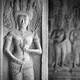Từ Tương ưng rừng cho đến Tương ưng dạ-xoa trong kinh Tương ưng bộ, ta có thể rút ra nhận định rằng: Dù ở bất cứ môi trường nào, thành thị, nông thôn hay nơi hoang vắng thì đều có sự cư trú của các vị thiên hoặc dạ-xoa