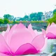 Những đóa sen hồng trên dòng kênh Nhiêu Lộc 