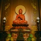 Tỳ-kheo cũng như thế, sống quán niệm thân trên thân, đoạn trừ tất cả Thượng phần phiền não, khéo thu nhiếp tâm, nội tâm dừng lặng, chánh niệm tỉnh giác, được bốn thứ tâm pháp tăng thượng, trụ an lạc trong pháp hiện tại, đạt được điều chưa đạt là Niết-bàn an ổn - Ảnh: Phùng Anh Quốc