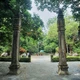 Lăng vua Lê Thái Tổ