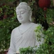 Ảnh: Trung Thắng