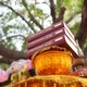 Tam tạng Pāli là hệ thống Kinh-Luật-Luận của Phật giáo Theravāda
