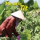 Mẹ tôi lo Tết