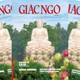 Báo Giác Ngộ số 1339: Chúng ta là ai phía sau chiếc mặt nạ?