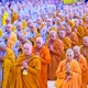 Có một con số chênh lệch rất lớn, hơn 30 ngàn vị - nếu căn cứ báo cáo của các Đại giới đàn so với con số thống kê Tăng Ni của Ban Tăng sự Trung ương, tính từ năm 2017 cho đến nay - Ảnh: Quảng Đạo/BGN