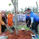 Đức Pháp chủ GHPGVN, chư tôn đức, lãnh đạo TP.HCM và các đại biểu tham gia hoạt động trồng cây - một hành động thiết thực, thể hiện trách nhiệm đối với môi trường và tương lai của Thành phố