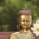 Ảnh: Shutterstock