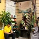 Không gian văn hóa Hồ Chí Minh được thiết trí trong khuôn viên tịnh thất Pháp Thủy