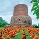 Đại tháp Dhamek - trái tim của Sarnath