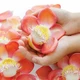 Ảnh: Shutterstock