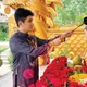 Là nghệ sĩ trường chay, Phật tử Tâm Phúc Linh hàng ngày cũng gìn giữ đạo tâm của một người trẻ