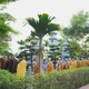 Chư Tăng Ni nhiễu tháp tưởng niệm bậc long tượng của Phật giáo Việt Nam - Đại lão Hòa thượng Thích Phổ Tuệ