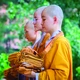 Trăn trở của một người xuất gia