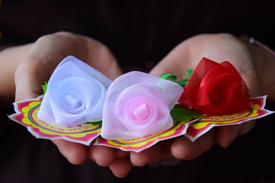 Hoa hồng Vu lan mùa Hiếu hạnh