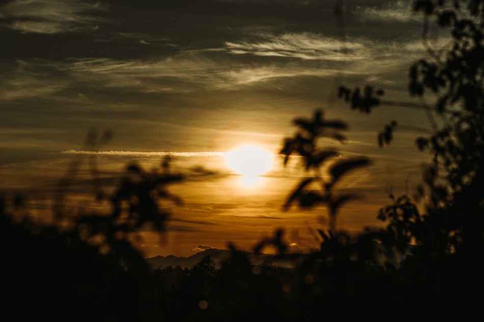 "Có bốn loại thức ăn giúp ích cho chúng sanh, khiến cho chúng sanh được tồn tại, được bảo hộ và nuôi lớn" - Ảnh: Phùng Anh Quốc