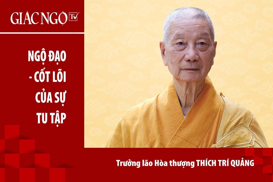[TRỰC TUYẾN] Trưởng lão Hòa thượng Thích Trí Quảng thuyết giảng: "Ngộ đạo - cốt lõi của sự tu tập" 