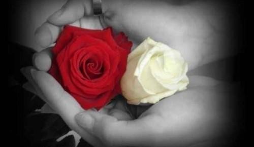 Bến bờ yêu thương