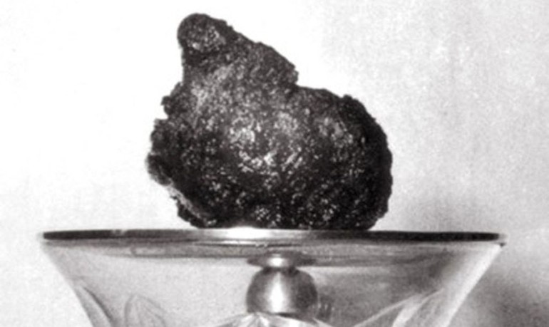 [Trái tim bất tử] Kỳ cuối: Bí mật trái tim linh thiêng