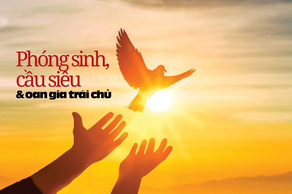 Bài trên Báo Giác Ngộ số 1242 - Thiết kế: Phòng Mỹ thuật BGN/Tống Viết Diễn