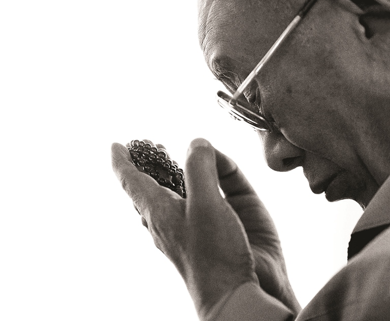 Sức hấp dẫn của một “tu sĩ bình thường”