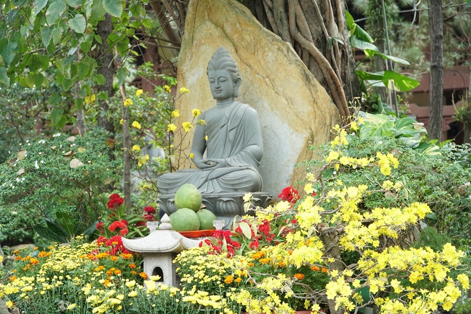 [Ảnh] Đầu năm về thăm các tổ đình, chùa cổ tại TP.HCM