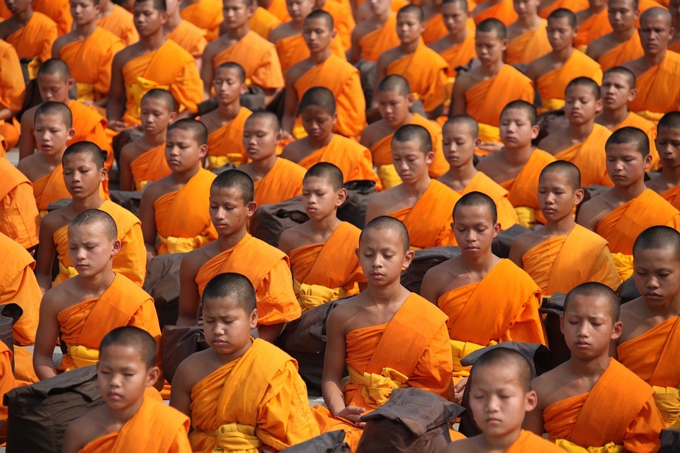Chư Tăng Ni chỉ chuyên tâm tu học và làm các Phật sự mà thôi - Ảnh minh họa