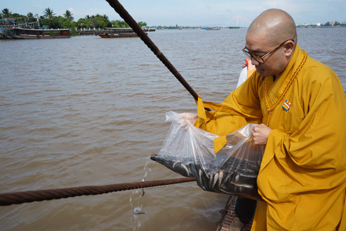 Thượng tọa Thích Quảng Lộc phóng sanh cá ra Sông Tiền Thượng tọa Thích Quảng Lộc phóng sanh cá ra Sông Tiền