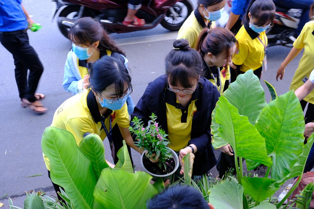 Trồng, chăm sóc cây xanh Trồng, chăm sóc cây xanh