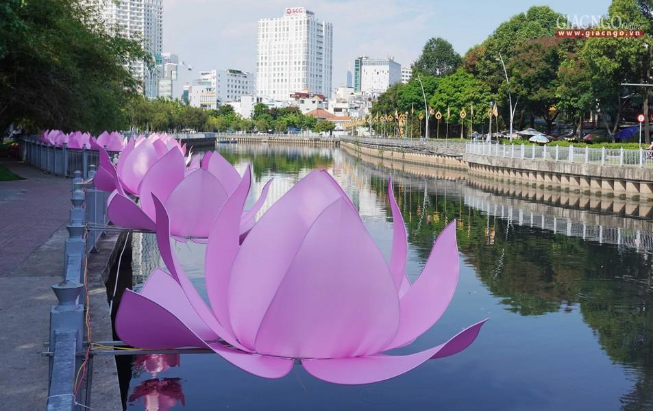 Hoa sen được thiết trí dọc bờ kênh Nhiêu Lộc trước chùa Pháp Hoa