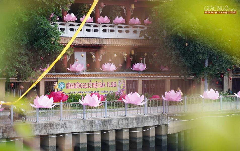 Mùa sen tháng Tư rộn ràng