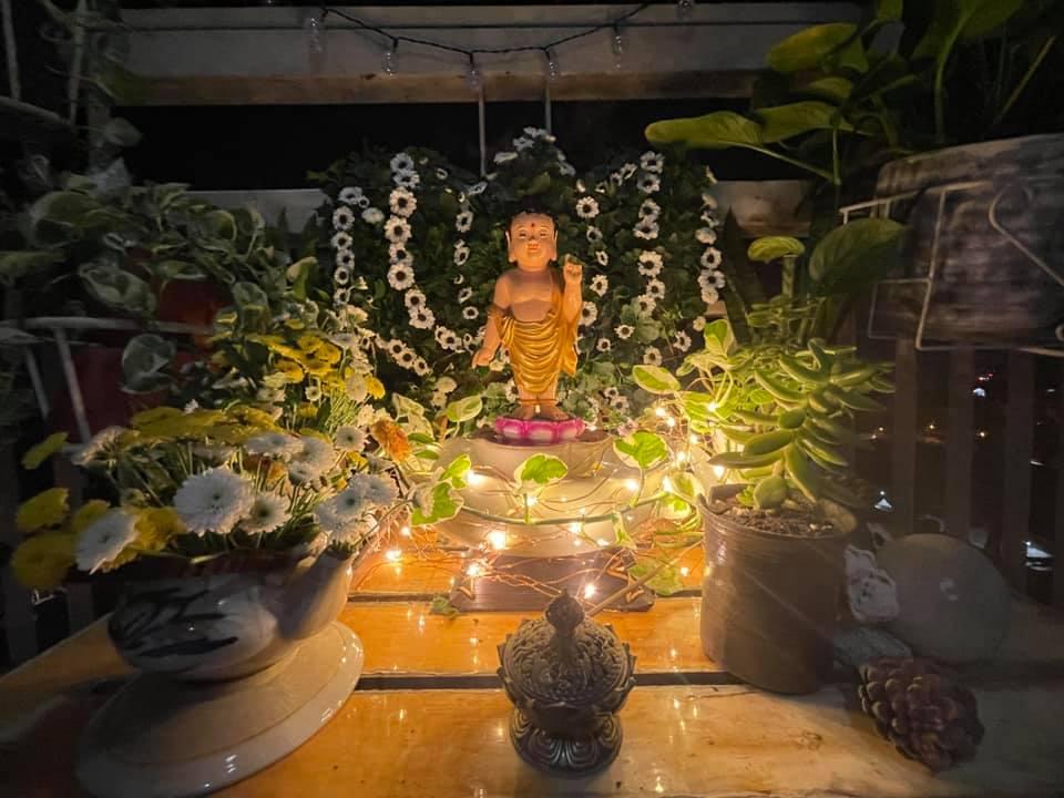 Ảnh đại diện trên trang Salem Nguyenquynh