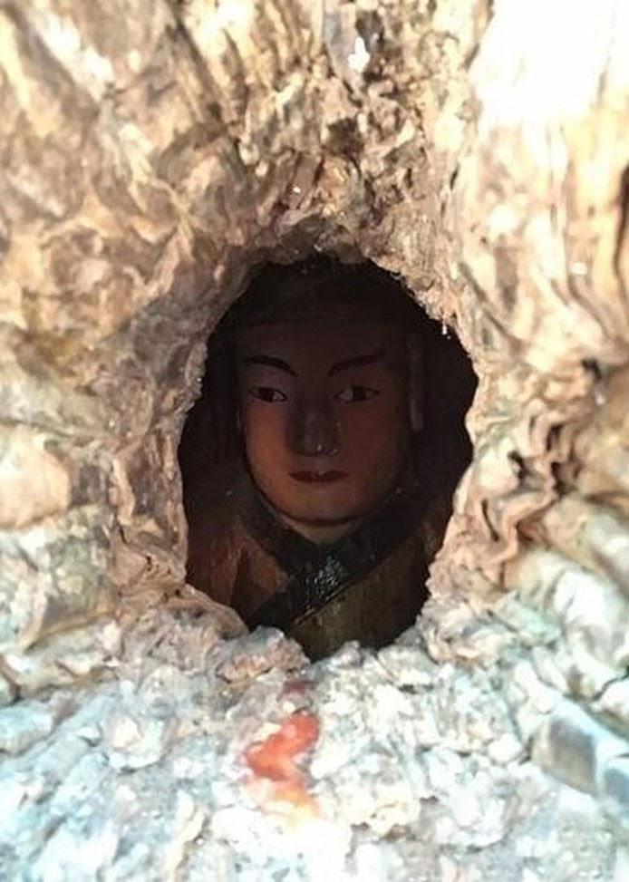 Kỳ lạ bức tượng Phật nằm trong hốc cây hơn 1.000 năm tuổi | Giác Ngộ Online