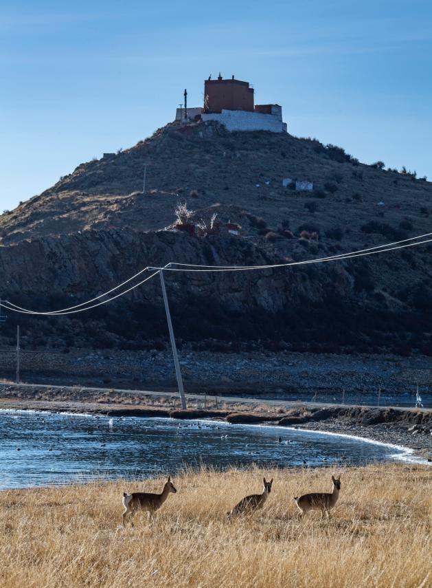 Ảnh: Sun Fei/Xinhua