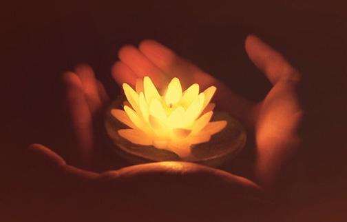 Ảnh minh họa Ảnh minh họa