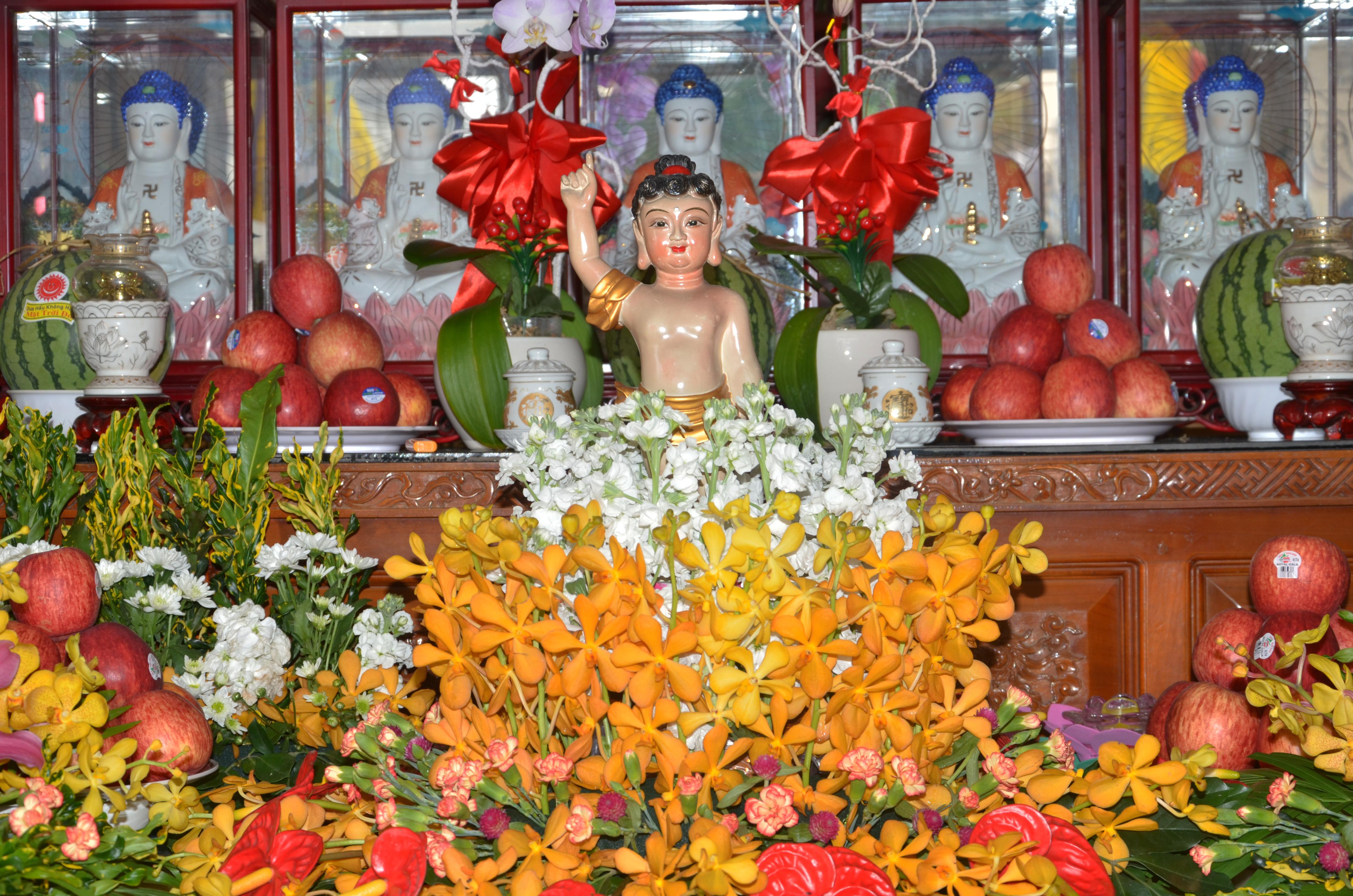 Tôn tượng sơ sinh Đức Thế Tôn tại tịnh xá Đại Giác