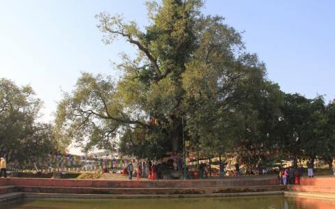 Theo dấu chân Phật... Theo dấu chân Phật...