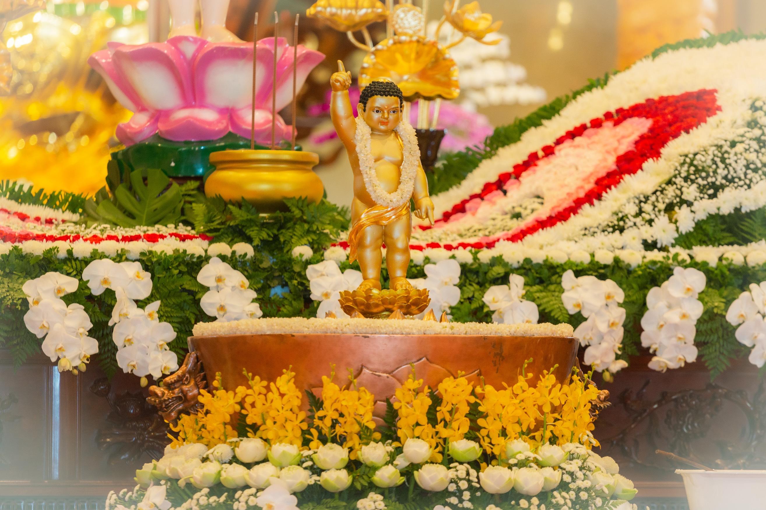 Kim tướng Đức Thế Tôn sơ sinh Kim tướng Đức Thế Tôn sơ sinh