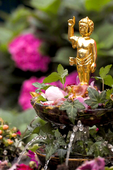 Phật đản trong rừng