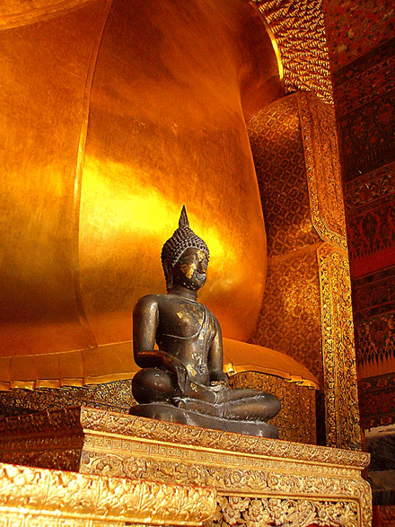 Thương người chịu khổ